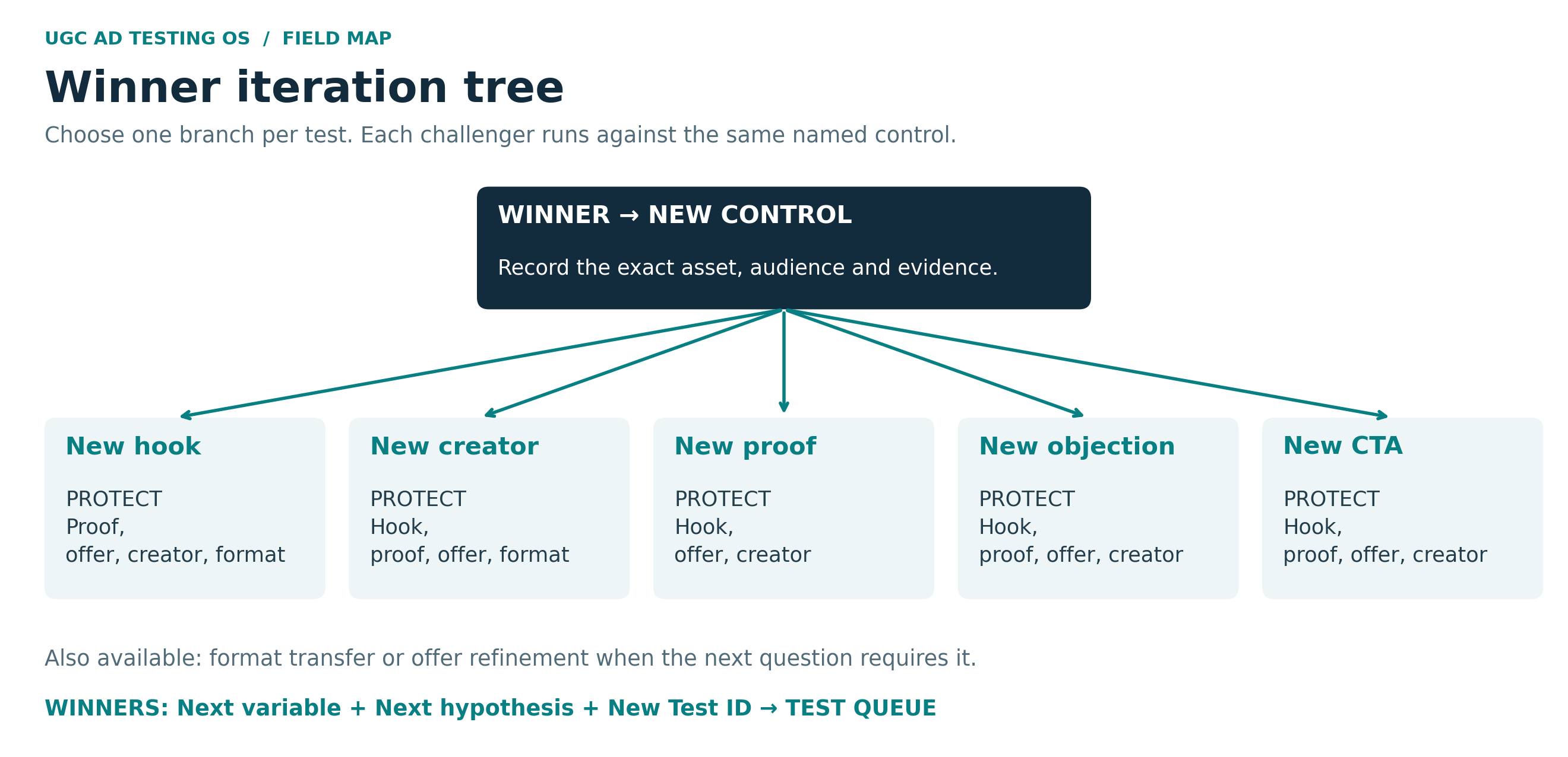 Winner iteration tree with new hook, creator, proof, objection and CTA tests
